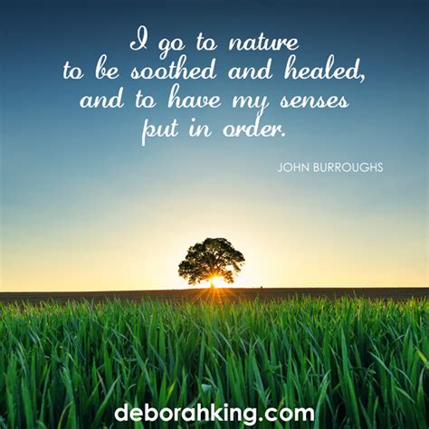 Inspirational Quote: "I go to nature to be soothed and healed, and to have my senses put in ...