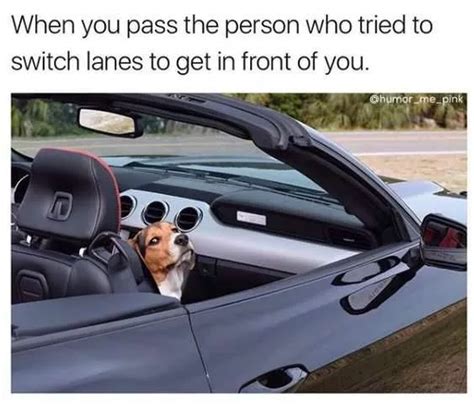 26 Funny Driving Memes For Any Driver