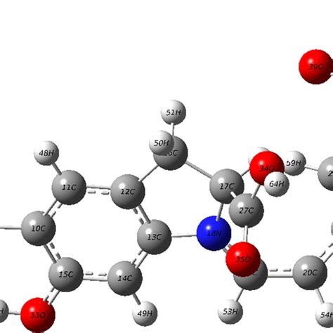 Optimized structure of betanin for performing the theoretical ...