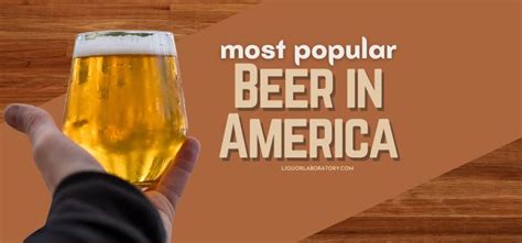 15 Most Popular Beers in America: Listed & Ranked (2024)