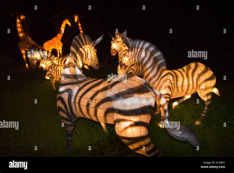 SINGAPORE NIGHT SAFARI ZOO Illuminated animals at entrance Tiger Stock Photo: 10222010 - Alamy