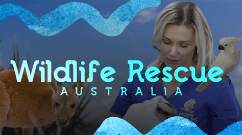 Wildlife Rescue Australia - Perpetual Entertainment