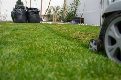 Benefits of Aerating Your Lawns