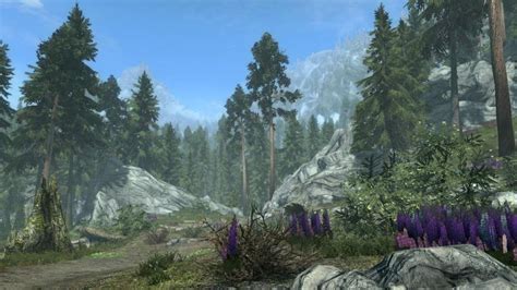 How to install skyrim flora overhaul - hooliparent