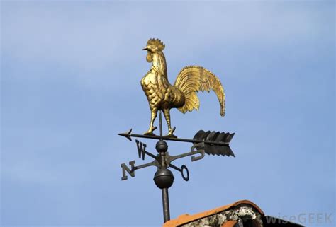 What is a Wind Vane? (with pictures) | Wind vane, Weather instruments ...