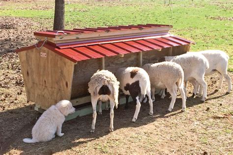 Sheep & Goat Feeders - A1 Cattle Feeders