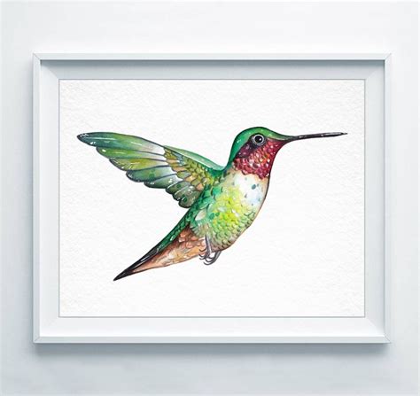 Hummingbird Art Set of 6 Prints Hummingbird Art Poster - Etsy