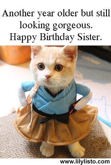 Happy birthday sister funny – Artofit