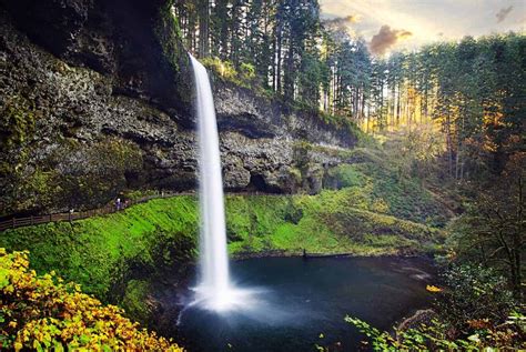 Things to do in Silver Falls State Park: The Trail of Ten Falls and ...