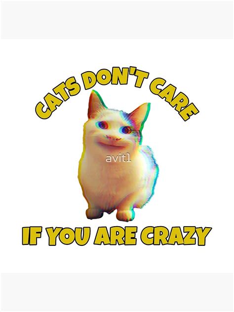 "Cats don't care if you are crazy, cat meme, ORIGINAL Willow Days" Poster for Sale by avit1 ...