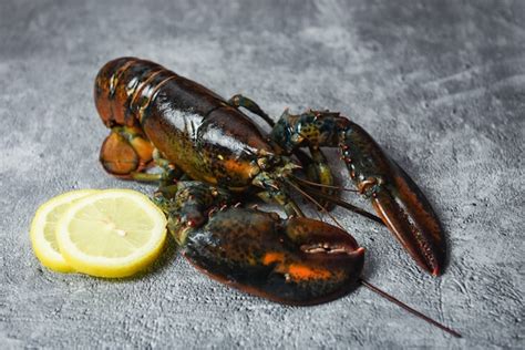 Premium Photo | Fresh lobster shellfish in the seafood restaurant for cooked food - raw lobster ...