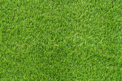 Green grass texture from a football ... | Stock image | Colourbox