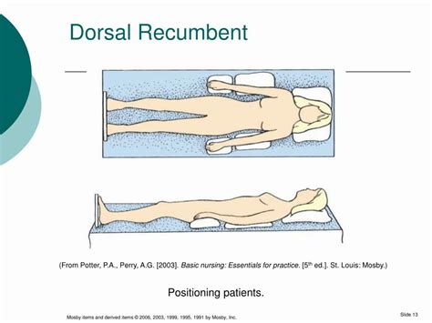 Why Do We Use Dorsal Recumbent Position? - H.O.M.E.