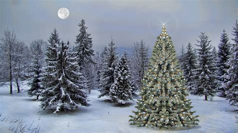 Download Moon Star Snow Forest Christmas Tree Holiday Christmas HD ...