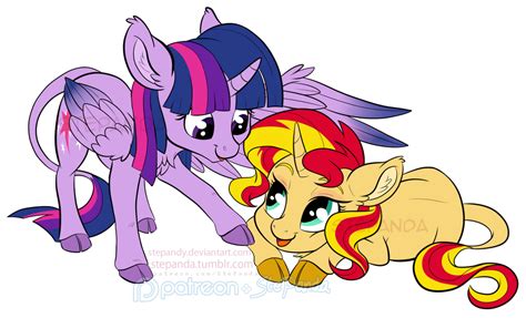 Twilight Sparkle and Sunset Shimmer by StePandy on DeviantArt