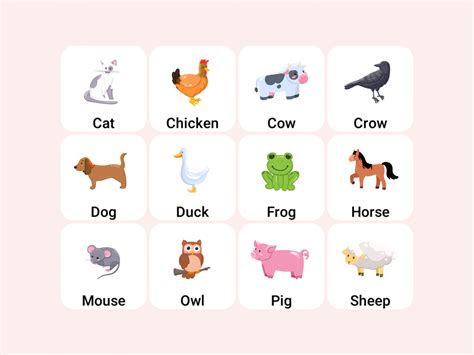 Animals Flashcards For Kids