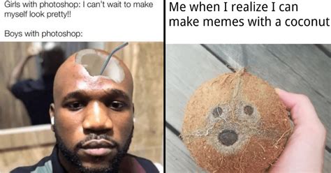 A Cluster of Coconut Memes That Have Tropical Flair - Memebase - Funny Memes