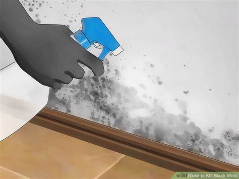 The Best Ways to Kill Black Mold - wikiHow