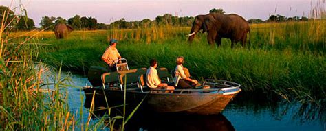 Botswana Premium Safari Tour | Africa Luxury Travel