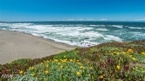 Sonoma Coast State Park 3 | ProArtInc