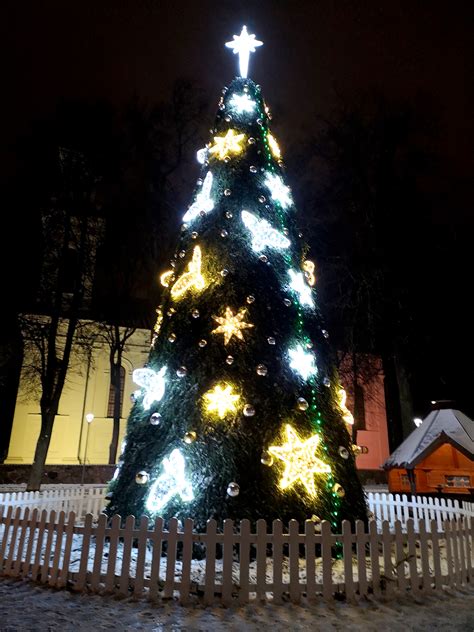 Kalėdų eglutės įsižiebs tyliai | Biržiečių žodis