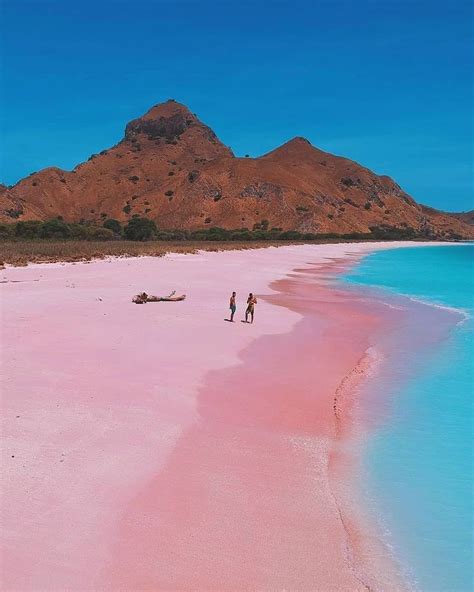 Pink beach in Komodo Island, Indonesia #indonesia #komodoisland #beach ...