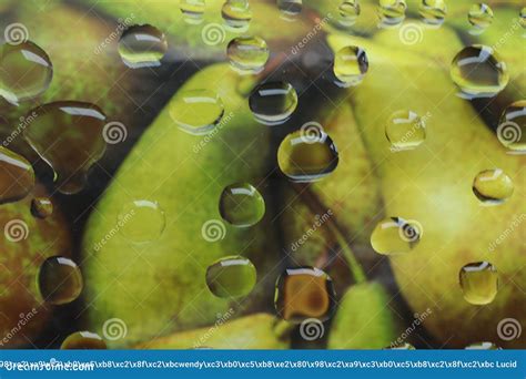 Oil Drop Photography Abstract Image for Background or Wallpaper Stock ...