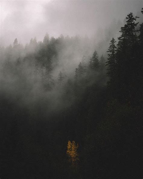 Dark Fog Wallpapers - Top Free Dark Fog Backgrounds - WallpaperAccess