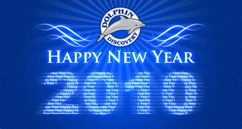 Happy New Year from Dolphin Discovery | Swim with Dolphins with Dolphin Discovery