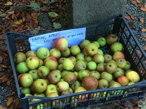 The Shackleton Family - Farming for Nature