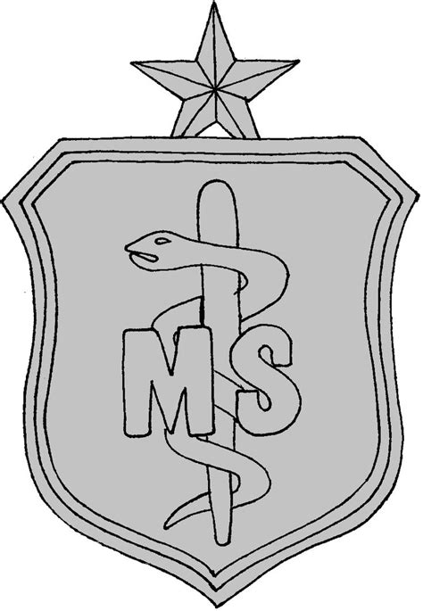 Air Force Medical Services Corps Badge 2 | Medical services, Air force, Medical