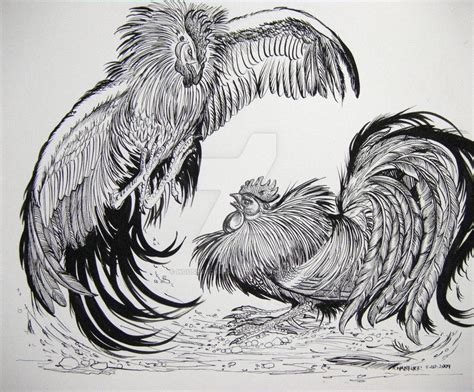 Roosters Fighting Large by HouseofChabrier on DeviantArt