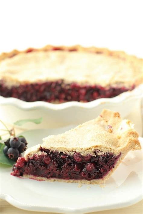 Old Fashioned Saskatoon Pie: A Prairie Classic | Kitchen Frau in 2020 | Saskatoon berry recipe ...