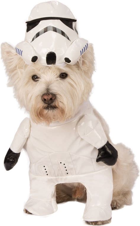 Chewy Dog Halloween Costumes | Best Costumes Ideas