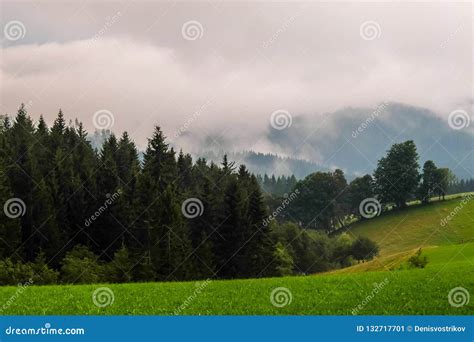 Cloudy mountain landscape stock image. Image of grass - 132717701