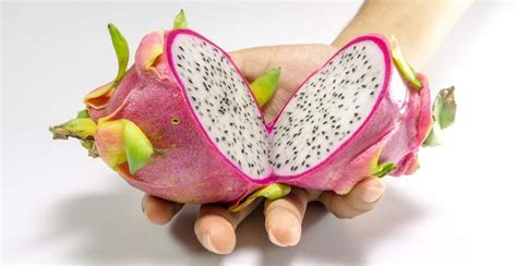 15 Manfaat Buah Naga: Superfood dengan Kandungan Superior