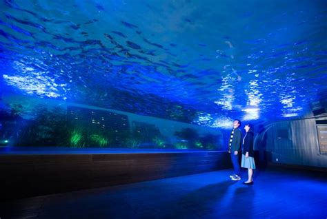 Sunshine Aquarium | The Official Tokyo Travel Guide, GO TOKYO