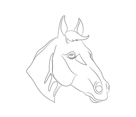 Horse outline sketch Stock Photos, Royalty Free Horse outline sketch ...