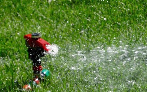 5 Best Effective Impact Sprinkler Heads in 2024 Reviews-Guide to Pick the Best Impact Sprinkler ...