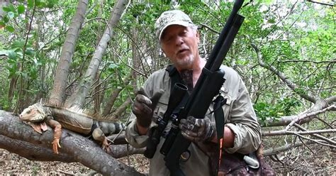 Video: Iguana Hunting With An Air Rifle