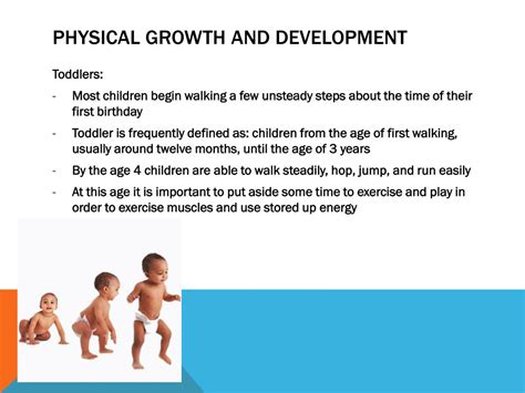 PPT - Physical Development Ages 1-3 PowerPoint Presentation, free ...