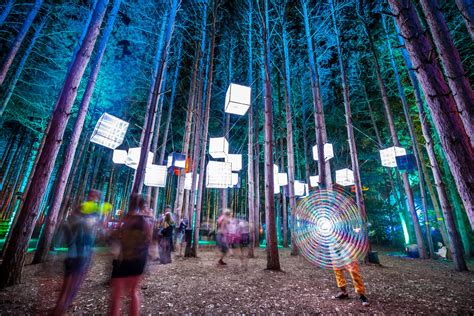 Thank You Art Installations! | Electric Forest Festival Plug In ...