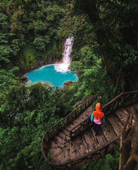 Rio Celeste Waterfall & Tenorio Volcano National Park Guide