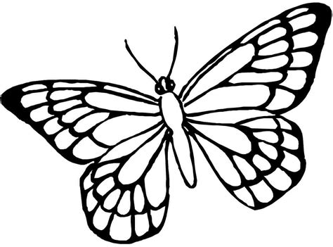 Butterfly Coloring Pages | Free download on ClipArtMag