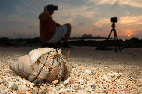 The Art of Wide-Angle Macro Photography by Shawn Miller | Okinawa ...