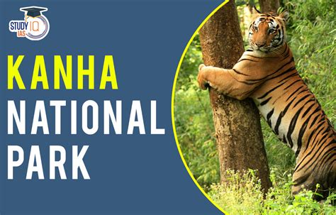 Kanha National Park, History, Details, Feature, Biodiversity and Conservation