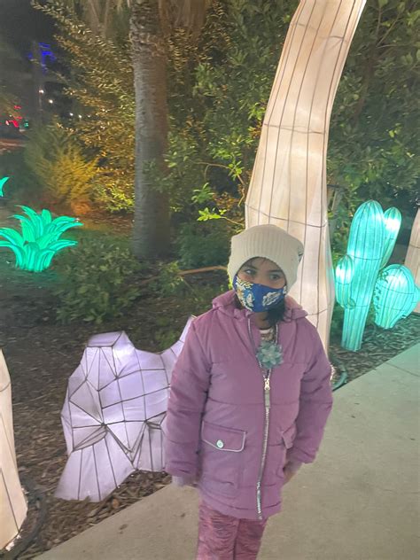 8 Tips for Visiting Glowfari with Kids at the Oakland Zoo this Winter ...