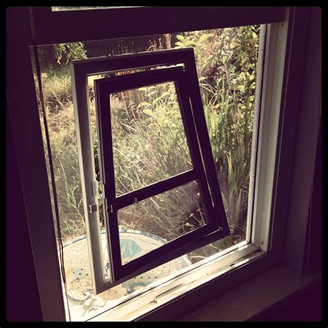 A cat door that installs in a window screen. Works brilliantly!! | Cat ...