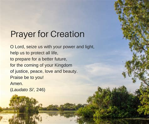 Prayer for Creation (1) - Jesuits Australia