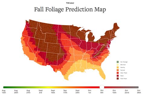 Here's When Fall Foliage Will Hit Its Peak in New York City for 2023 ...